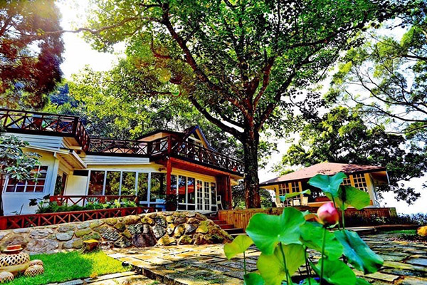 油桐花坊-苗栗餐廳